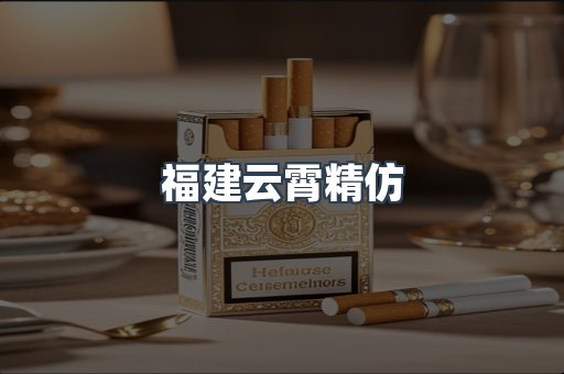福建云霄精仿